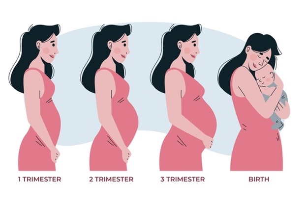 Best 12 Tips for a Healthy Pregnancy- Marriage solution BD